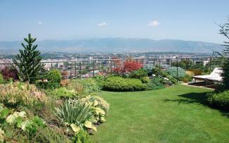 Roof garden with lawn, shrubs and perennials